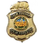 California Department Of Forestry CDF Crew Foreman Mini Badge Pin